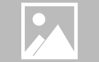 楚雄新区景区网站建设（in art criticism,you must assume）